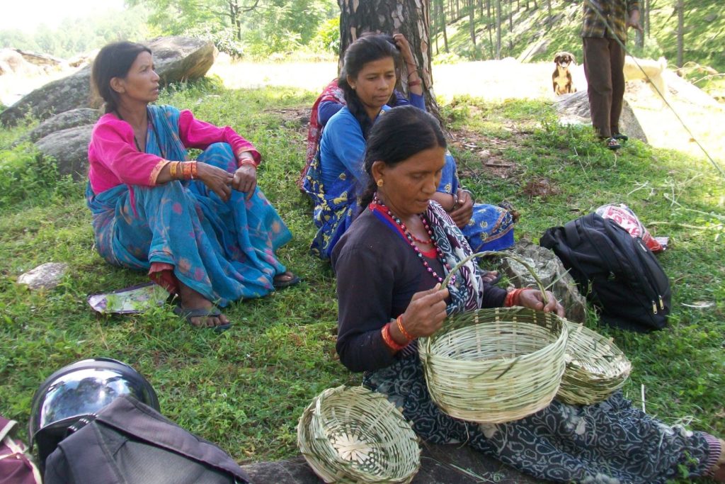 banner-action-for-justice-and-sustianability